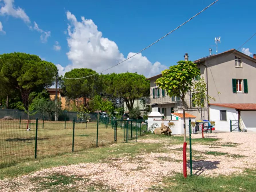 Immagine 2 di Casa indipendente in vendita  a Magione