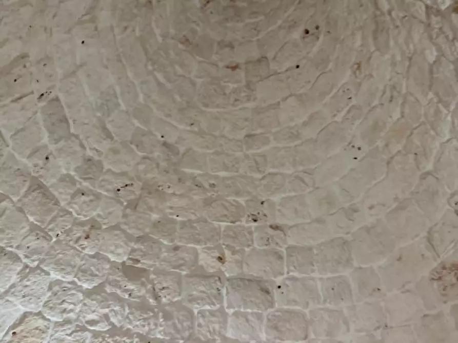 Immagine 17 di Rustico / casale in vendita  in Contrada Abate Amato a Ceglie Messapico