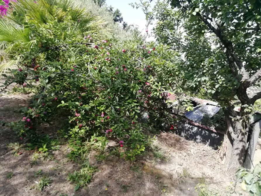 Immagine 11 di Terreno in vendita  in SANTA LUCIA DEL MELA a Santa Lucia Del Mela