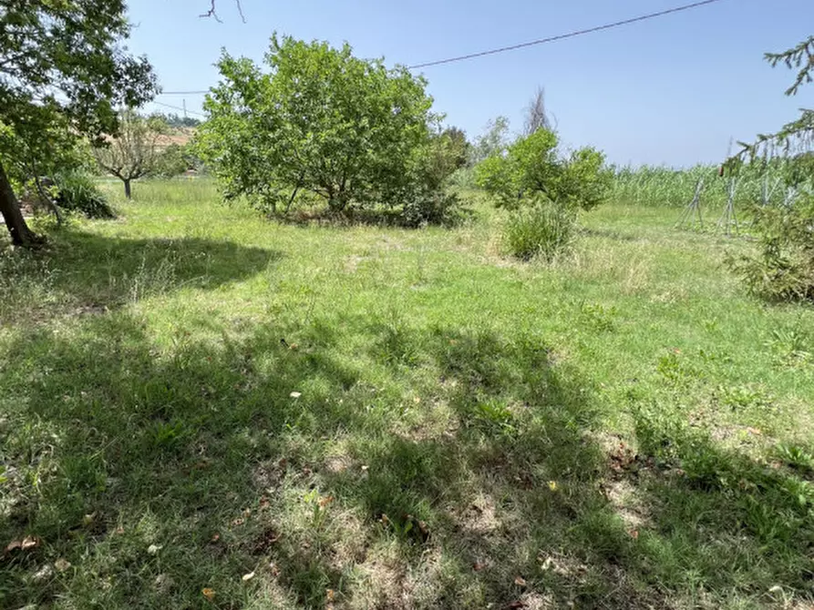 Immagine 29 di Casa indipendente in vendita  in Strada Statale Arceviese a Senigallia