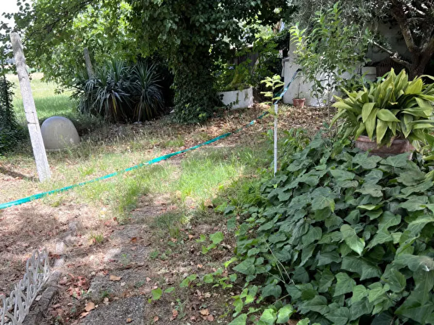 Immagine 34 di Casa indipendente in vendita  in Strada Statale Arceviese a Senigallia