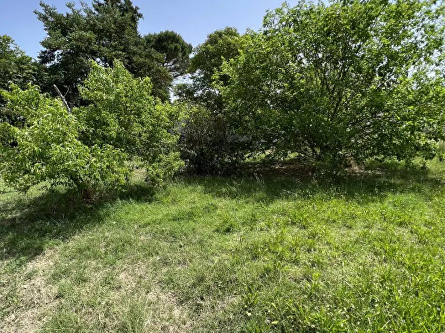 Immagine 35 di Casa indipendente in vendita  in Strada Statale Arceviese a Senigallia