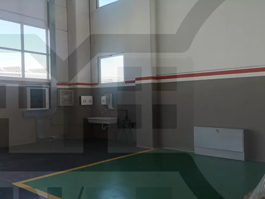 Immagine 8 di Capannone industriale in vendita  in via libeccio a Bagnacavallo