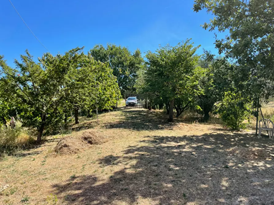 Immagine 7 di Rustico / casale in vendita  a Senigallia