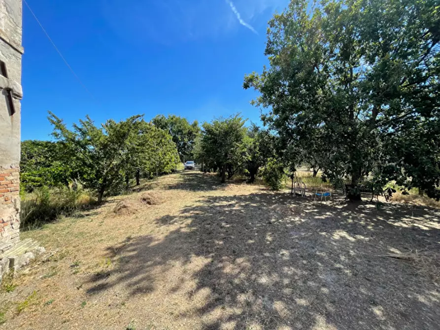 Immagine 9 di Rustico / casale in vendita  a Senigallia