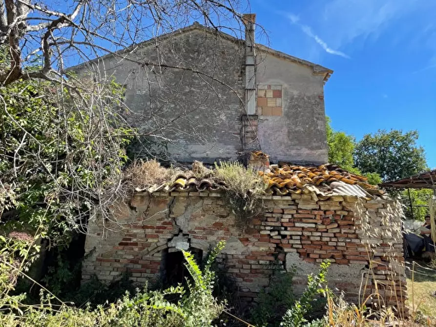 Immagine 10 di Rustico / casale in vendita  a Senigallia