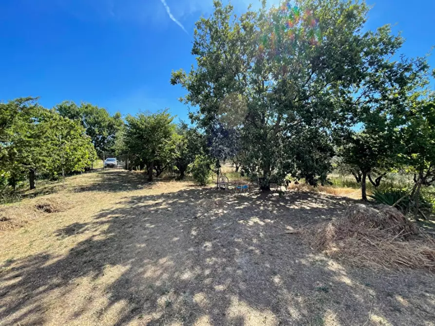 Immagine 11 di Rustico / casale in vendita  a Senigallia