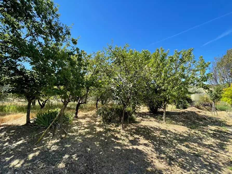 Immagine 12 di Rustico / casale in vendita  a Senigallia