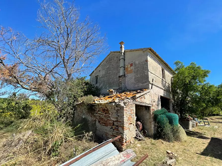 Immagine 14 di Rustico / casale in vendita  a Senigallia