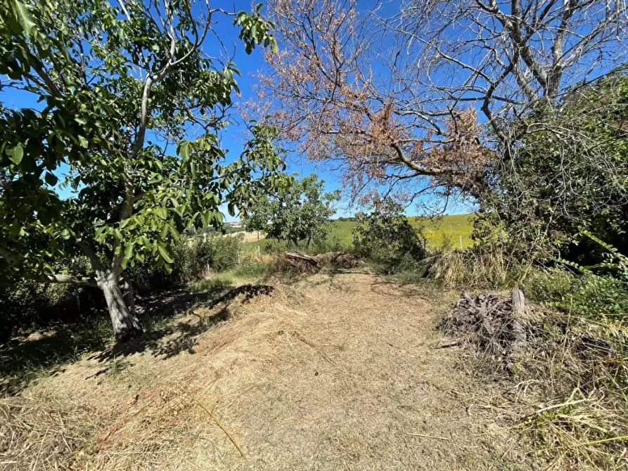 Immagine 15 di Rustico / casale in vendita  a Senigallia