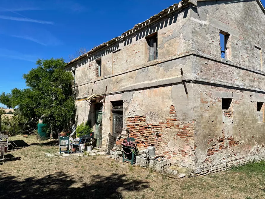 Immagine 17 di Rustico / casale in vendita  a Senigallia