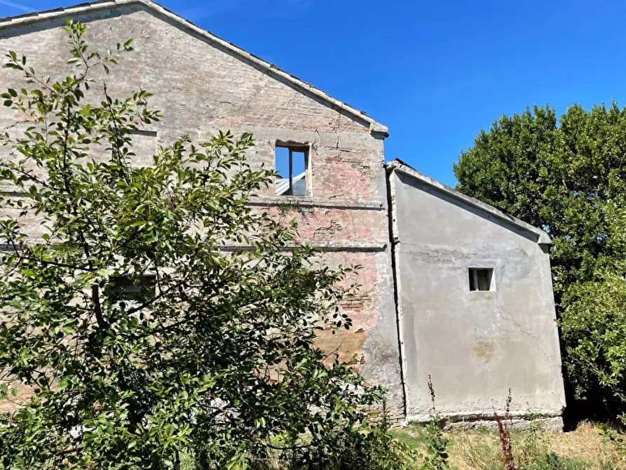 Immagine 19 di Rustico / casale in vendita  a Senigallia
