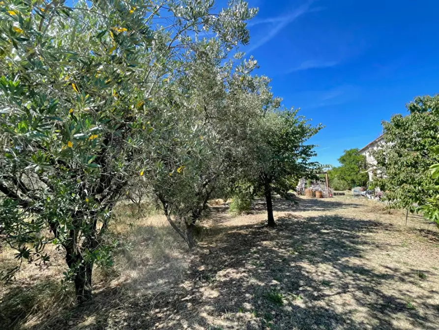 Immagine 20 di Rustico / casale in vendita  a Senigallia