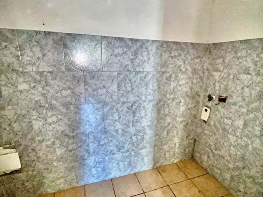 Immagine 11 di Appartamento in vendita  a Badia Polesine