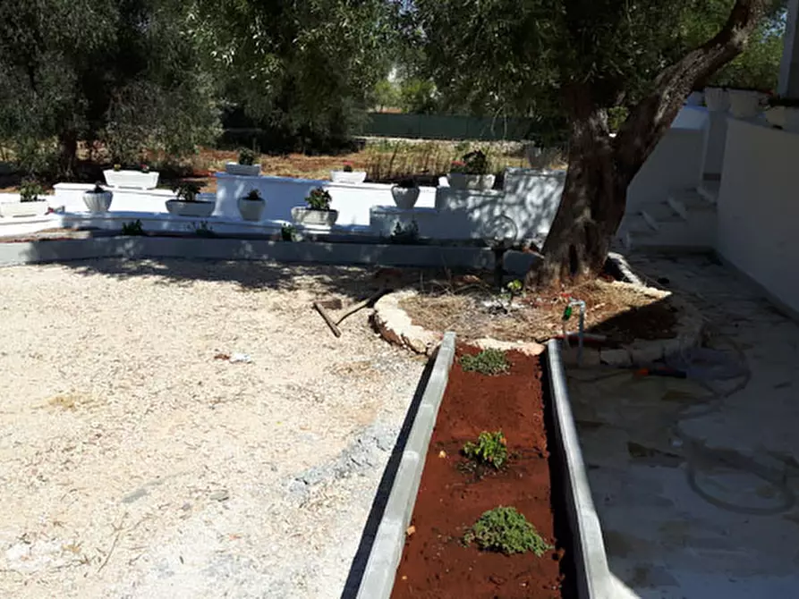 Immagine 2 di Villa in affitto  in C.da Vato Aperto a Ostuni