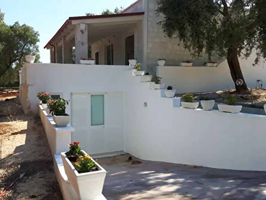 Immagine 6 di Villa in affitto  in C.da Vato Aperto a Ostuni