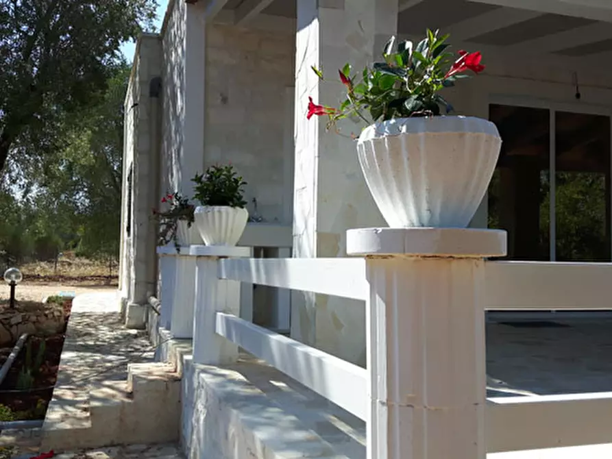 Immagine 10 di Villa in affitto  in C.da Vato Aperto a Ostuni