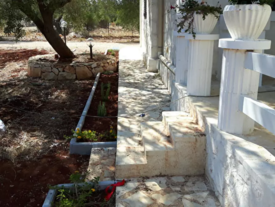 Immagine 11 di Villa in affitto  in C.da Vato Aperto a Ostuni