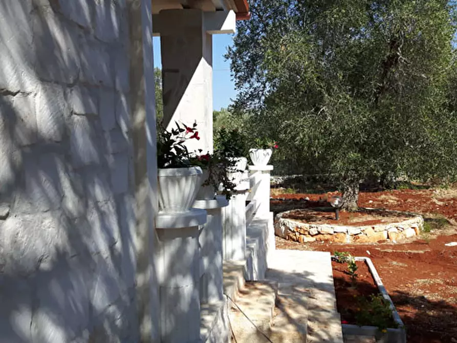 Immagine 14 di Villa in affitto  in C.da Vato Aperto a Ostuni