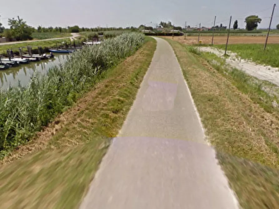 Immagine 4 di Terreno in vendita  a Codevigo