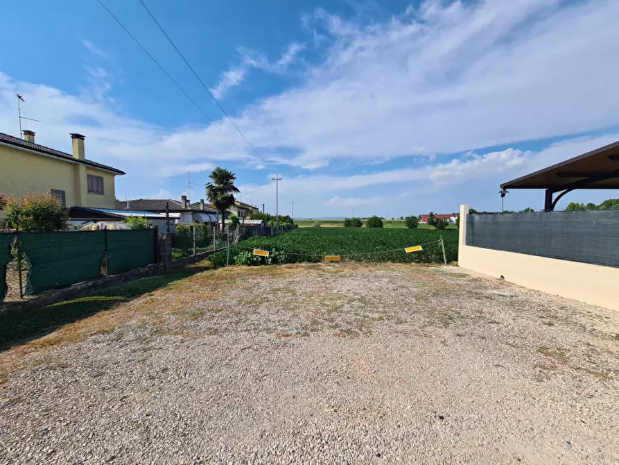 Immagine 2 di Terreno in vendita  in VIA LOGNOLO a Montagnana