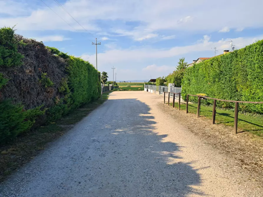 Immagine 5 di Terreno in vendita  in VIA LOGNOLO a Montagnana