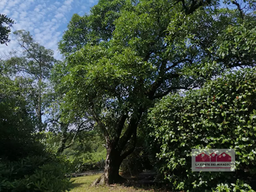 Immagine 35 di Villa in vendita  in Strada della Commenda a Vicenza
