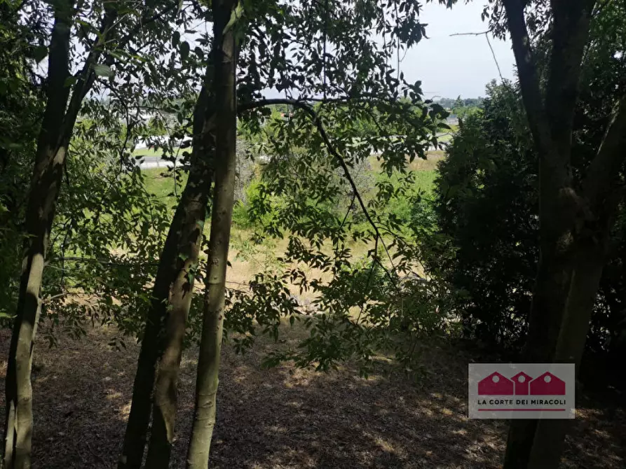 Immagine 38 di Villa in vendita  in Strada della Commenda a Vicenza