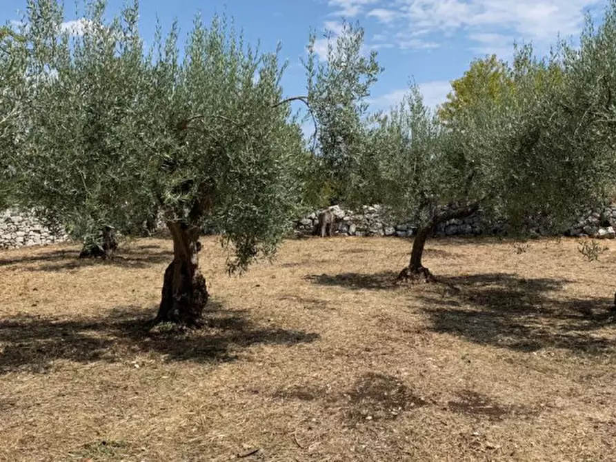 Immagine 30 di Rustico / casale in vendita  in Contrada Pietre Nere a Modica