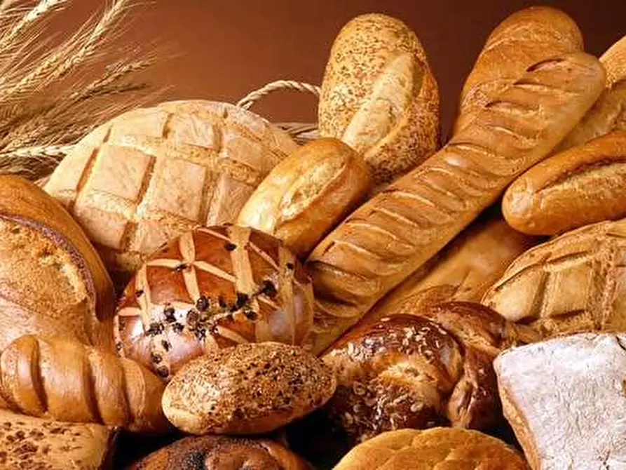 Immagine 1 di Attività commerciale in vendita  a Solesino