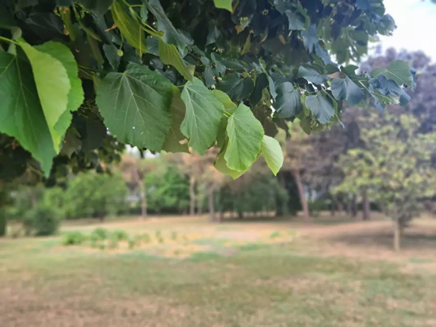 Immagine 3 di Agriturismo in vendita  in VIA PIETRA a Agna