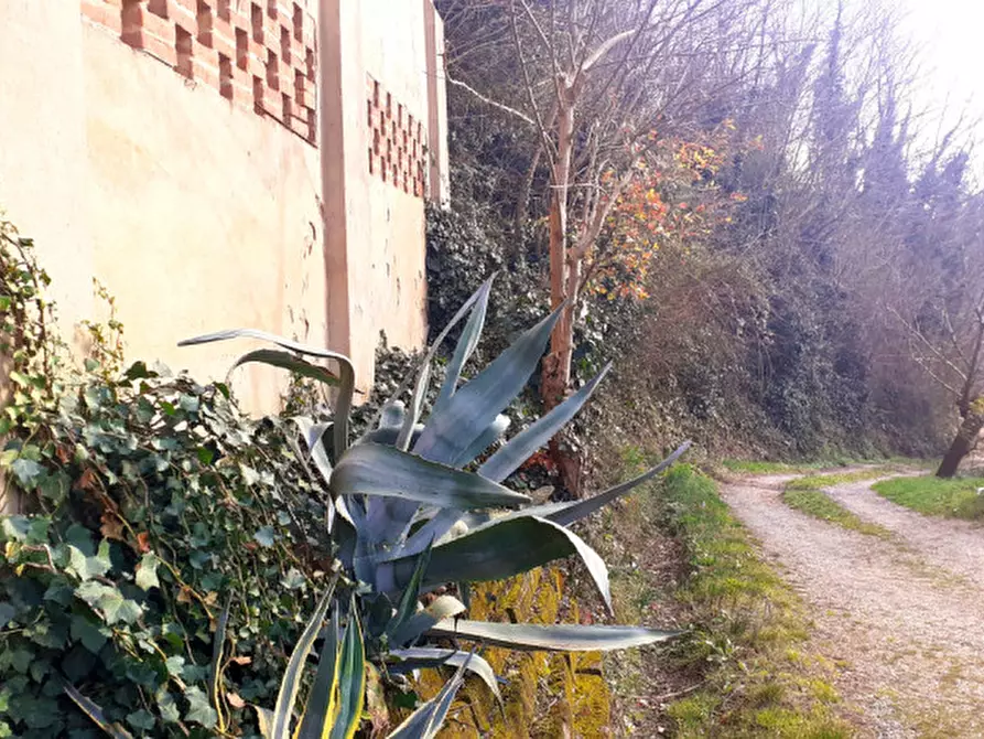 Immagine 9 di Rustico / casale in vendita  a Montopoli In Val D'arno