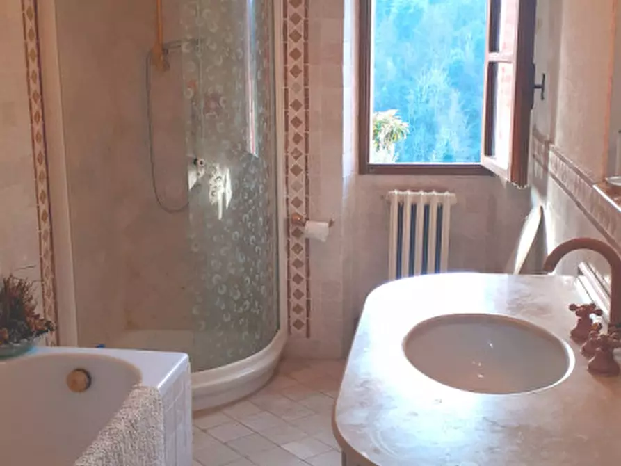 Immagine 21 di Rustico / casale in vendita  a Montopoli In Val D'arno