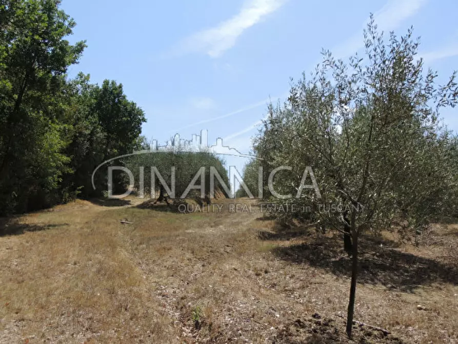 Immagine 31 di Rustico / casale in vendita  a Montopoli In Val D'arno