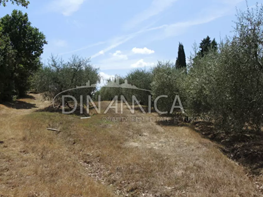 Immagine 32 di Rustico / casale in vendita  a Montopoli In Val D'arno