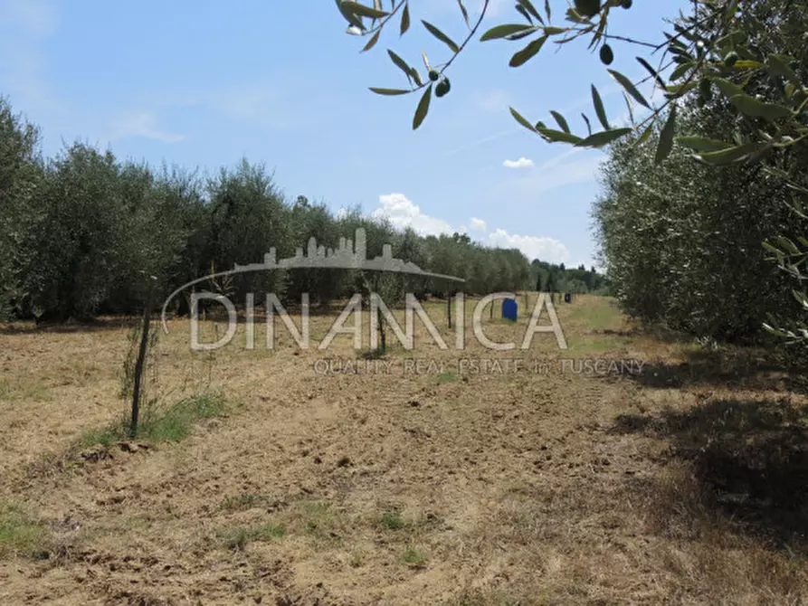 Immagine 33 di Rustico / casale in vendita  a Montopoli In Val D'arno