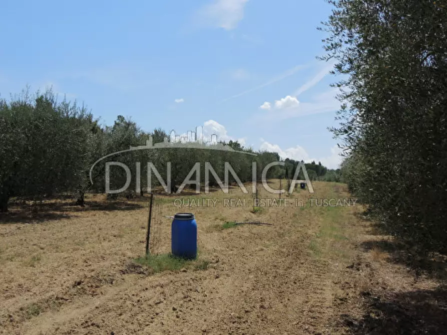 Immagine 34 di Rustico / casale in vendita  a Montopoli In Val D'arno