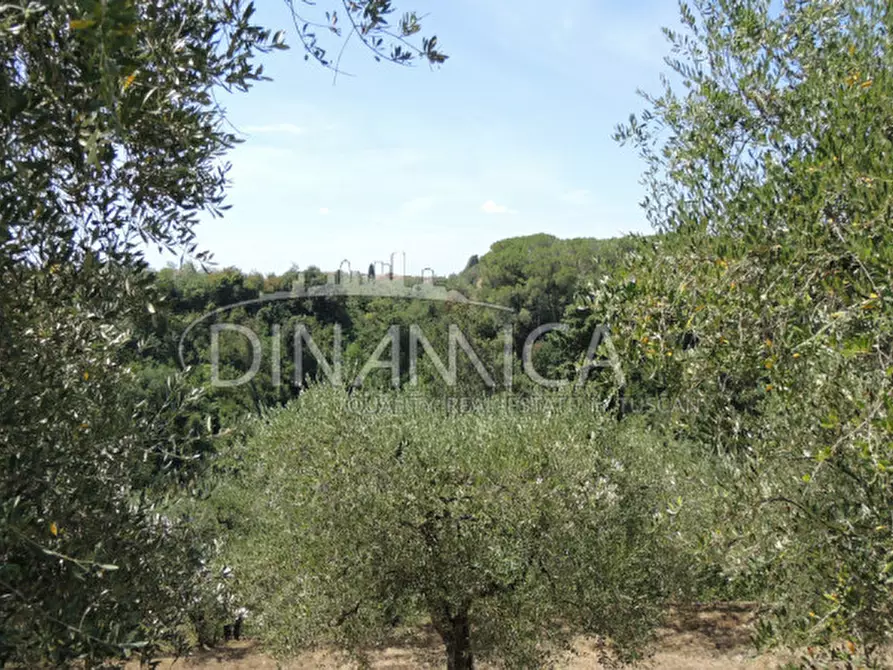 Immagine 35 di Rustico / casale in vendita  a Montopoli In Val D'arno