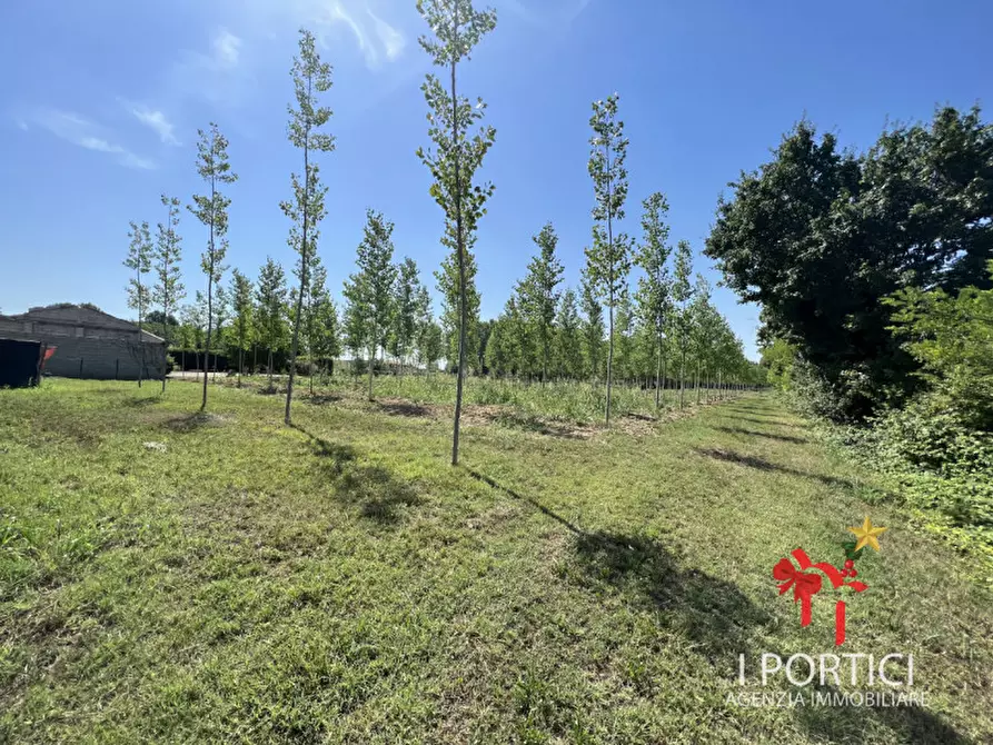 Immagine 2 di Rustico / casale in vendita  in Via Padovane a Massanzago