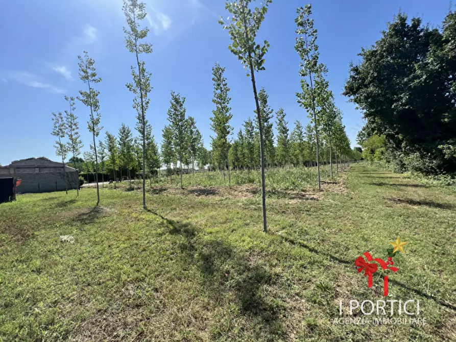 Immagine 3 di Rustico / casale in vendita  in Via Padovane a Massanzago