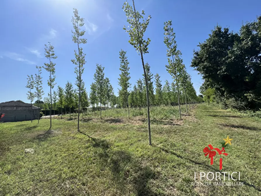 Immagine 4 di Rustico / casale in vendita  in Via Padovane a Massanzago