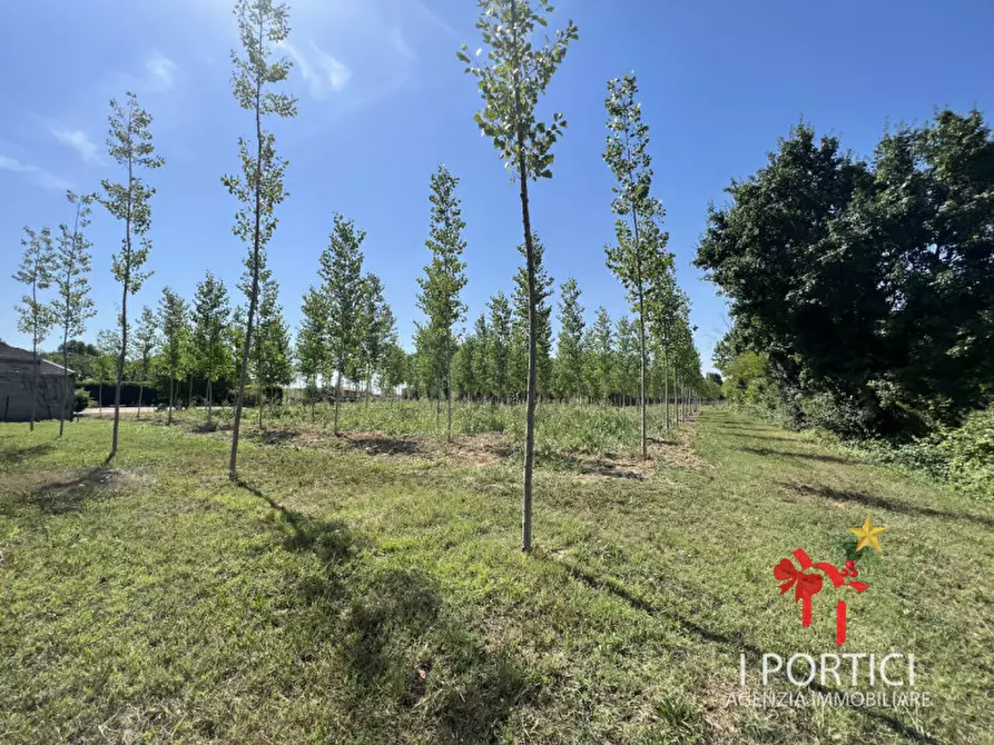 Immagine 5 di Rustico / casale in vendita  in Via Padovane a Massanzago