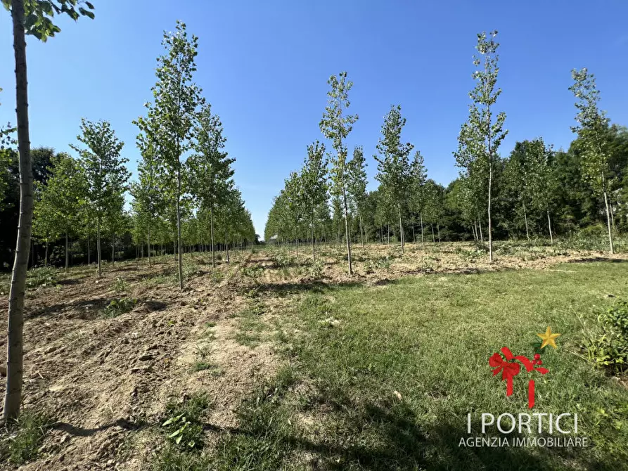 Immagine 6 di Rustico / casale in vendita  in Via Padovane a Massanzago