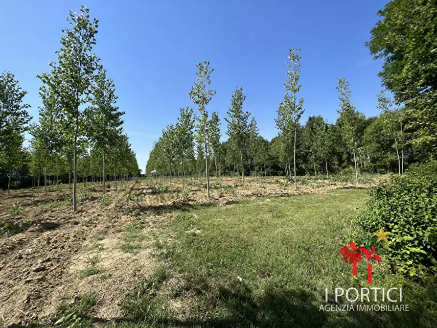 Immagine 7 di Rustico / casale in vendita  in Via Padovane a Massanzago