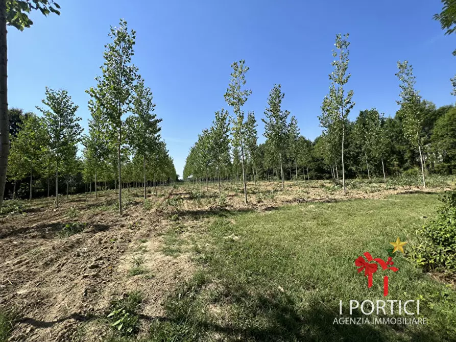 Immagine 8 di Rustico / casale in vendita  in Via Padovane a Massanzago