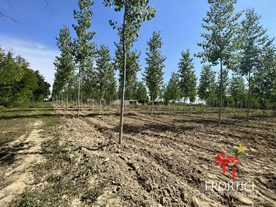 Immagine 9 di Rustico / casale in vendita  in Via Padovane a Massanzago