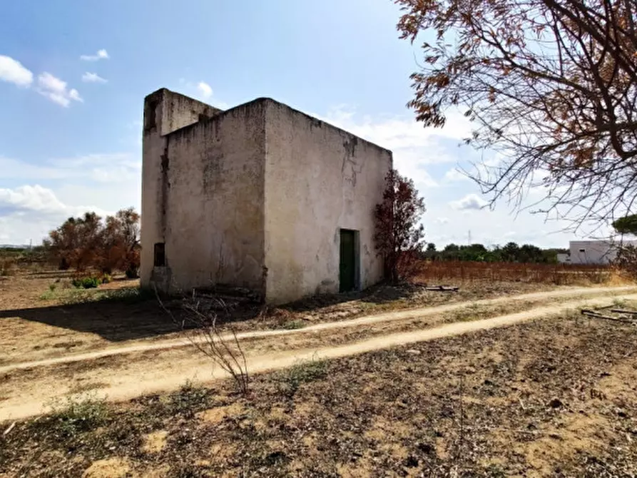 Immagine 3 di Villa in vendita  a Alezio