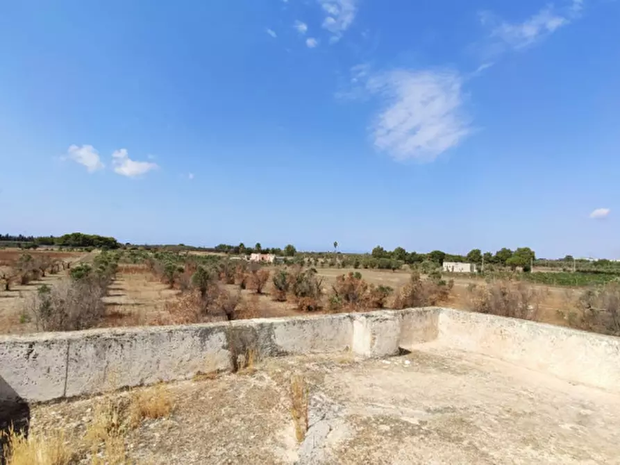 Immagine 4 di Villa in vendita  a Alezio