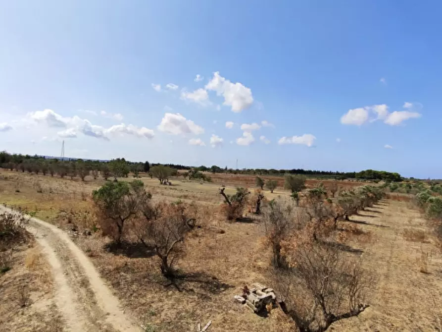 Immagine 5 di Villa in vendita  a Alezio