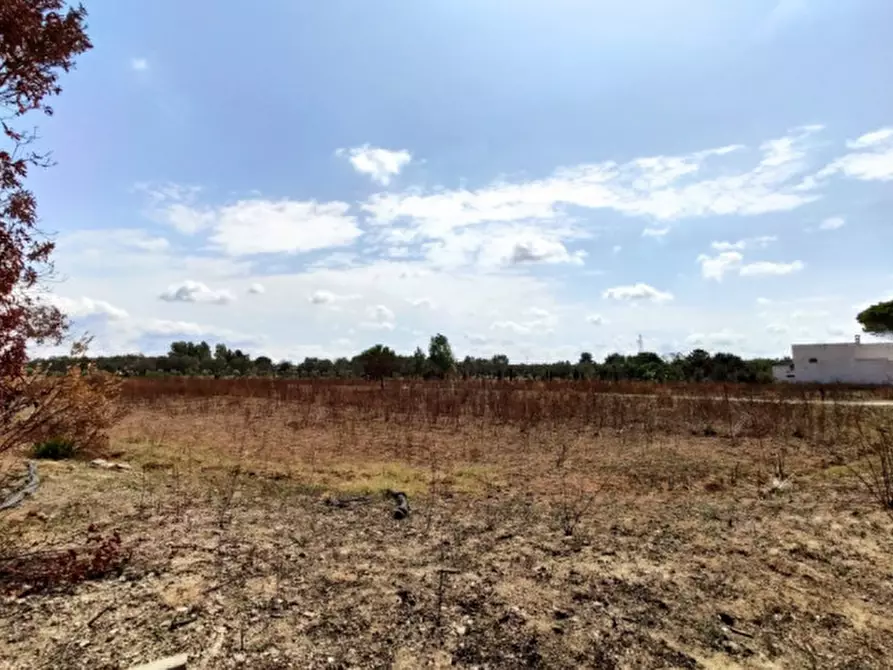 Immagine 10 di Villa in vendita  a Alezio